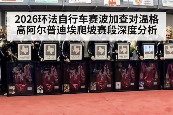 2026环法自行车赛波加查对温格高阿尔普迪埃爬坡赛段深度分析